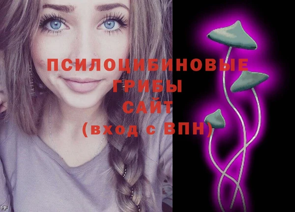 ALPHA PVP Покачи