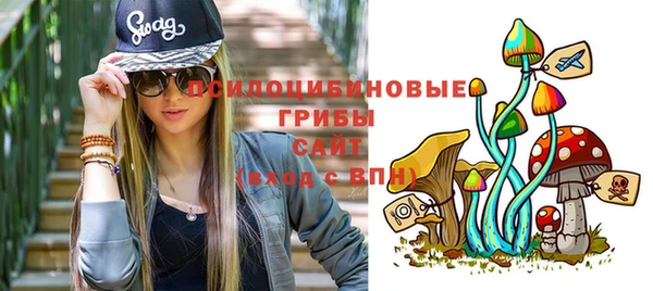 ALPHA PVP Покачи