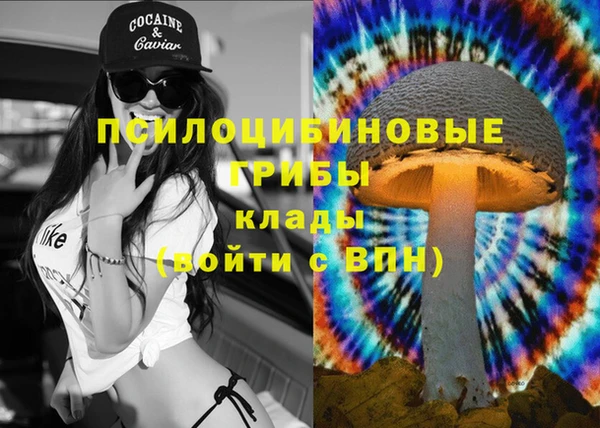 ALPHA PVP Покачи