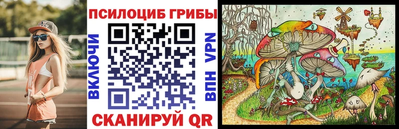 Купить  Светлогорск  Псилоцибиновые грибы ЛСД 